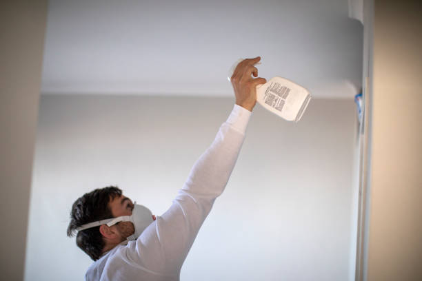 Best Home Mold Removal  in Centralia, IL