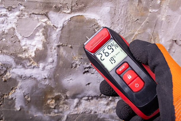 Best Mold Removal Company Near Me  in Centralia, IL