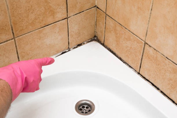 Best Mold Testing  in Centralia, IL